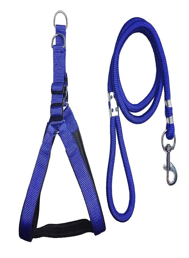 Skora Blue Nylon Padded Adjustable Dog Harness & Leash Rope 1 Inch for Medium Size Pet (Chest Size : 24-29) (Blue) - Image 1